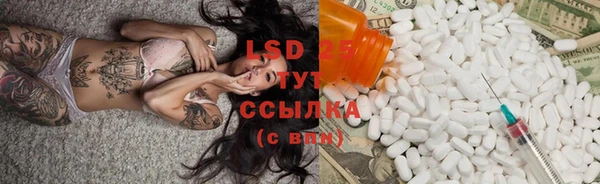 индика Балабаново